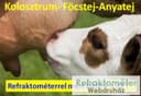 RHB-32SG ATC – refraktometr do siary